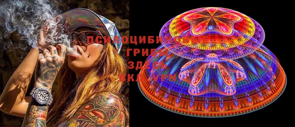 ECSTASY Бородино
