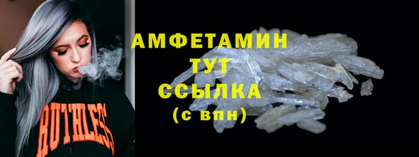 ECSTASY Бородино