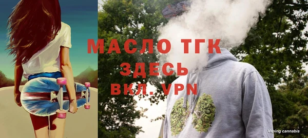 ECSTASY Бородино