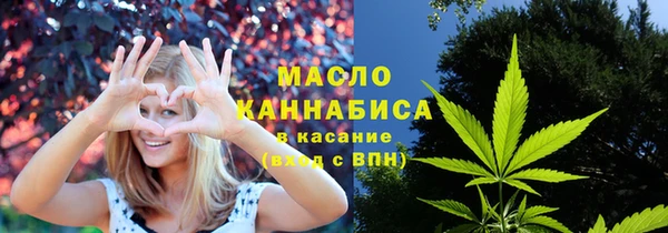 ECSTASY Бородино