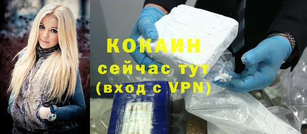 ECSTASY Бородино